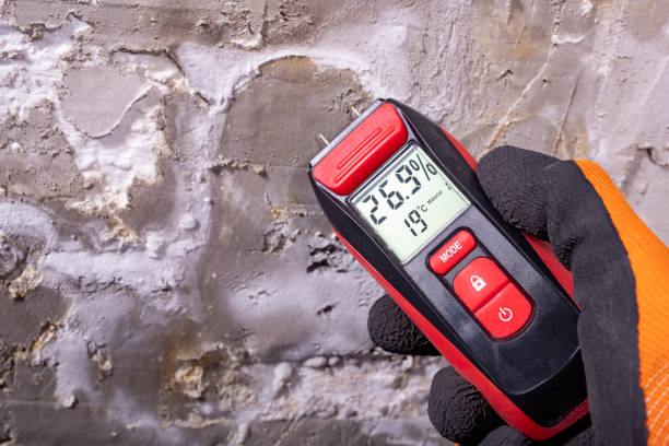 Office Mold Removal Services in Ocilla, GA