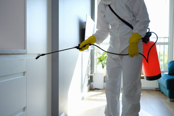 Best Mold Remediation Services  in Ocilla, GA